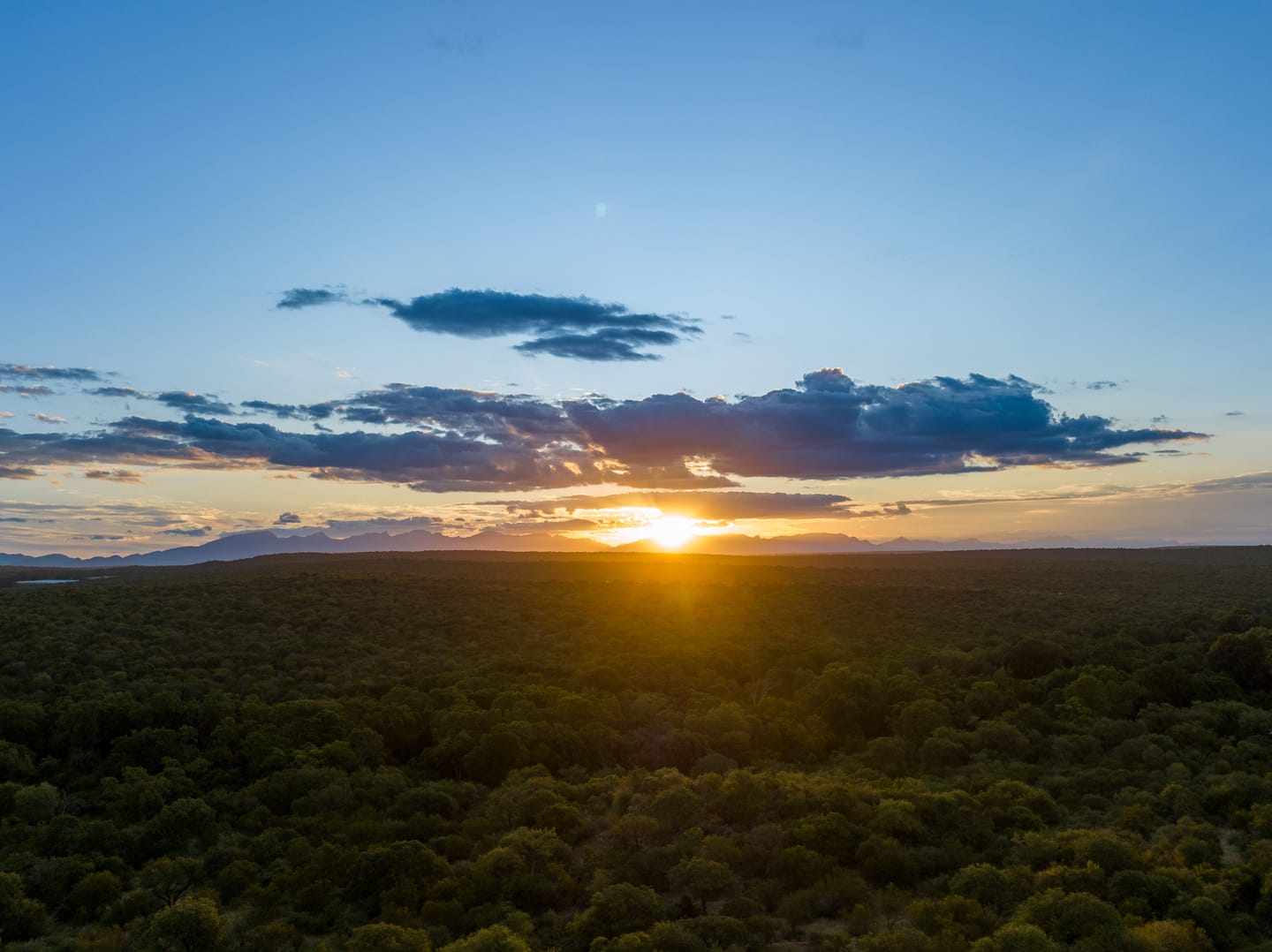 Sunset light spreads across the bush at Oase in Greater Kruger.