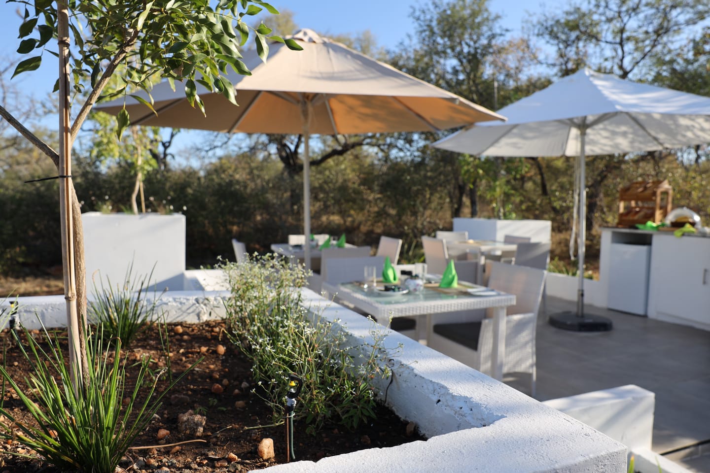 Breakfast is served at the Tea Garden at Oase.