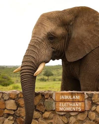 Elephant Moments 1