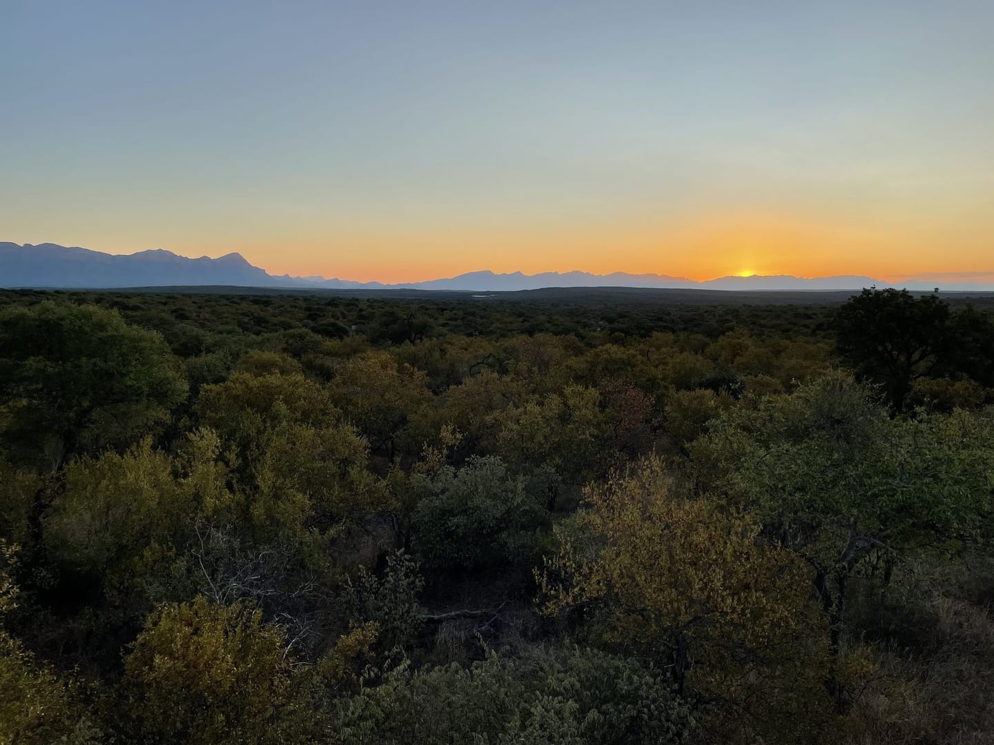 Sunset Game Drive 3