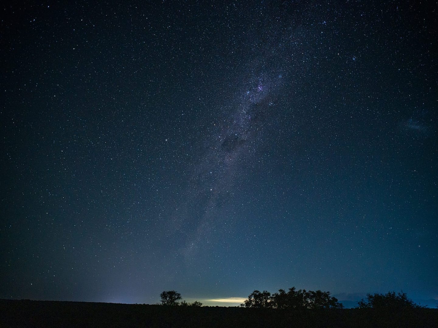 Moonlight Game Drive 2
