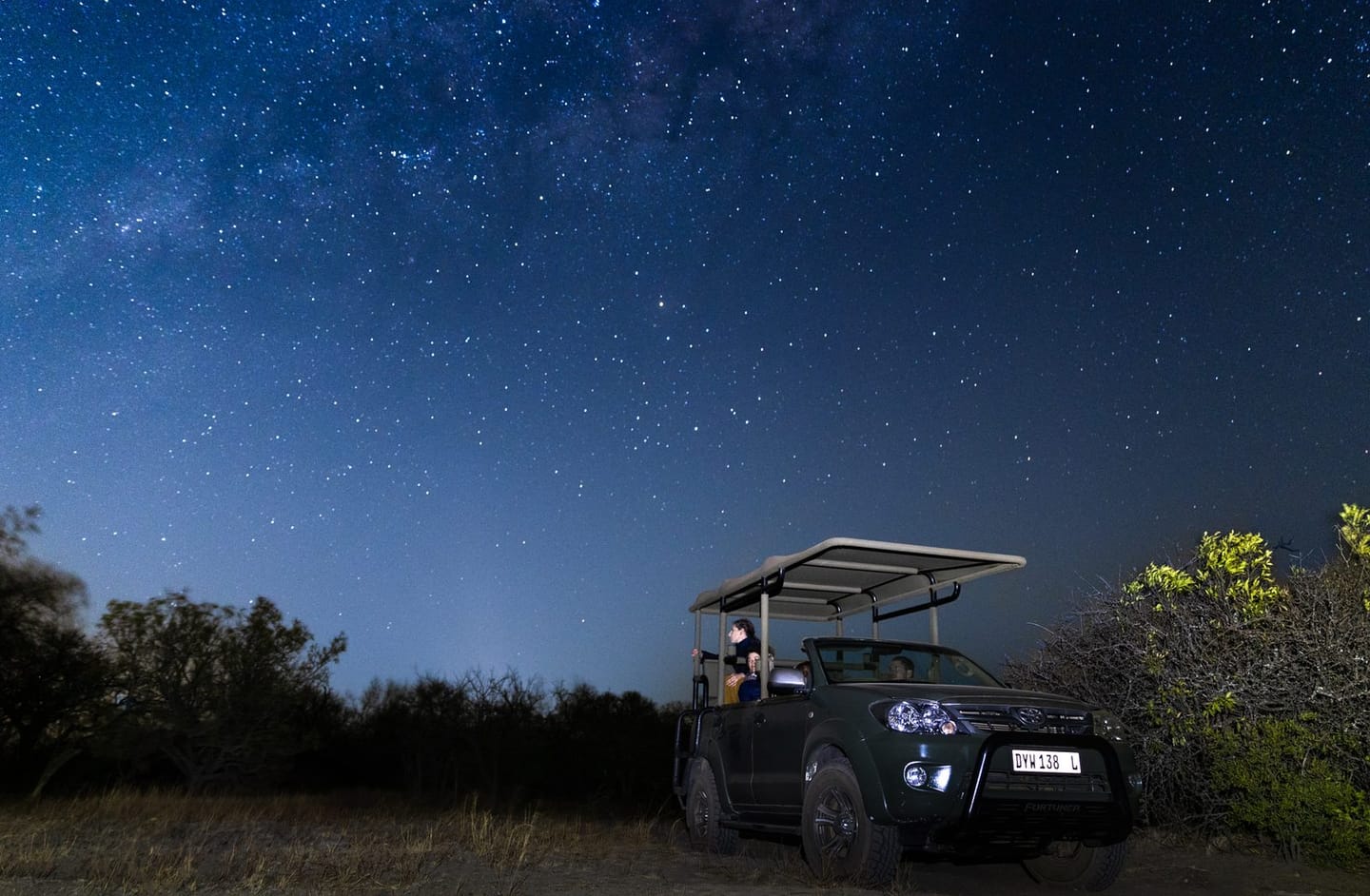 Nighttime Game Drive 3