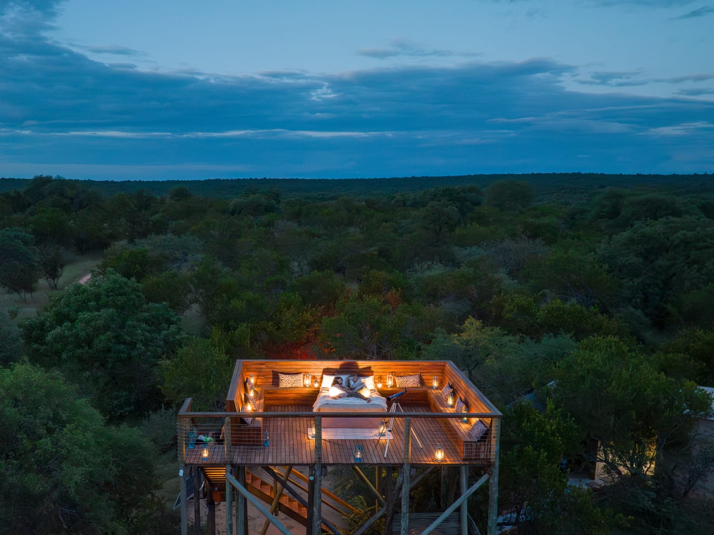 A bird's-eye view of the Treetop Sleepout elevated above the bush at Oase.